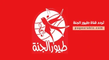 تردد قناة طيور الجنة 2025 على النايل سات وعرب سات وأثره على استقبال المحتوى للأطفال